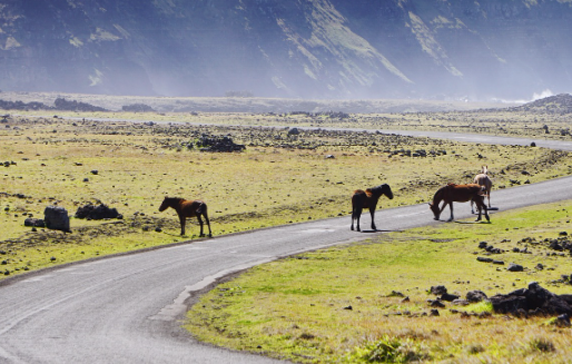 City street at night